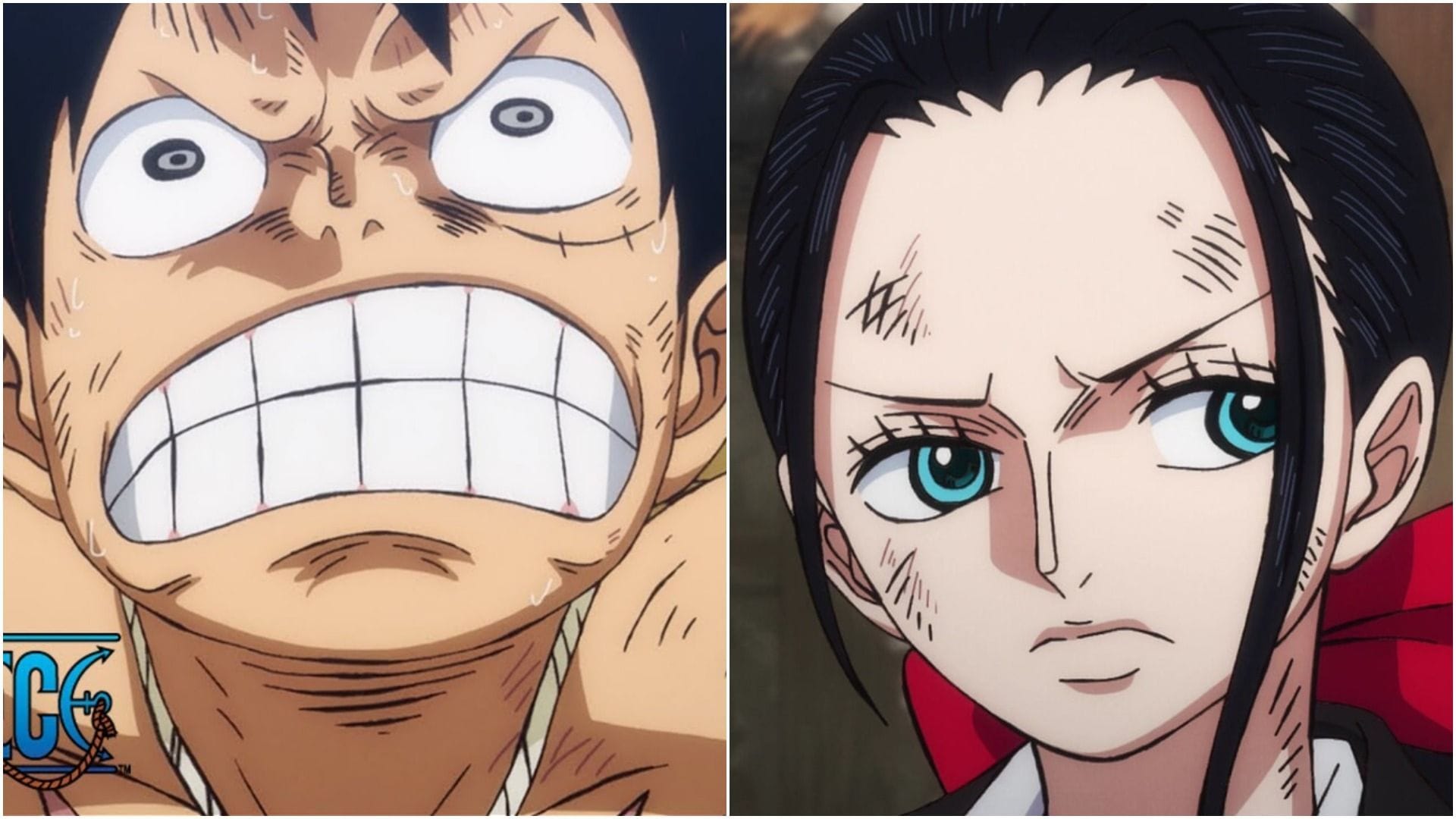 4 One Piece Characters Who Can Defeat Yamato And 4 She Will Obliterate