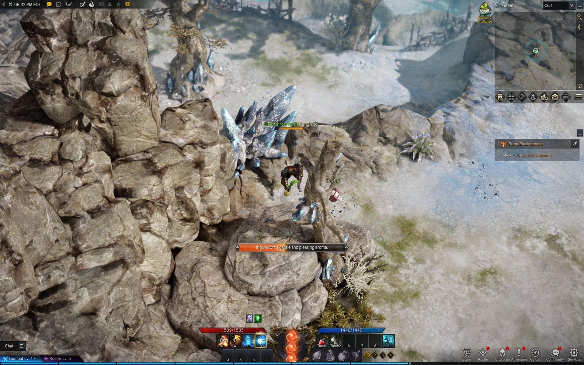 Every Saland Hill Mokoko Seed location in Lost Ark