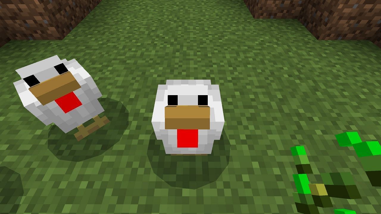 Breeding chickens in Minecraft: Everything you need to know