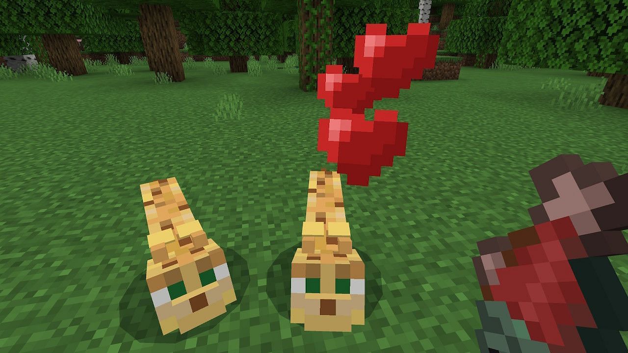 how-to-breed-ocelots-in-minecraft