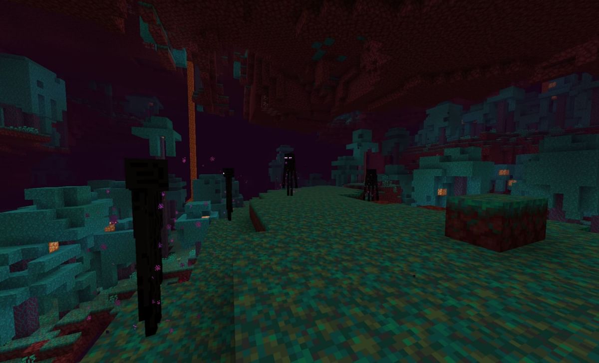 Minecraft player creates a texture pack showcasing different Enderman