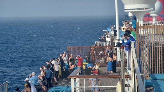 carnival cruise jumped overboard