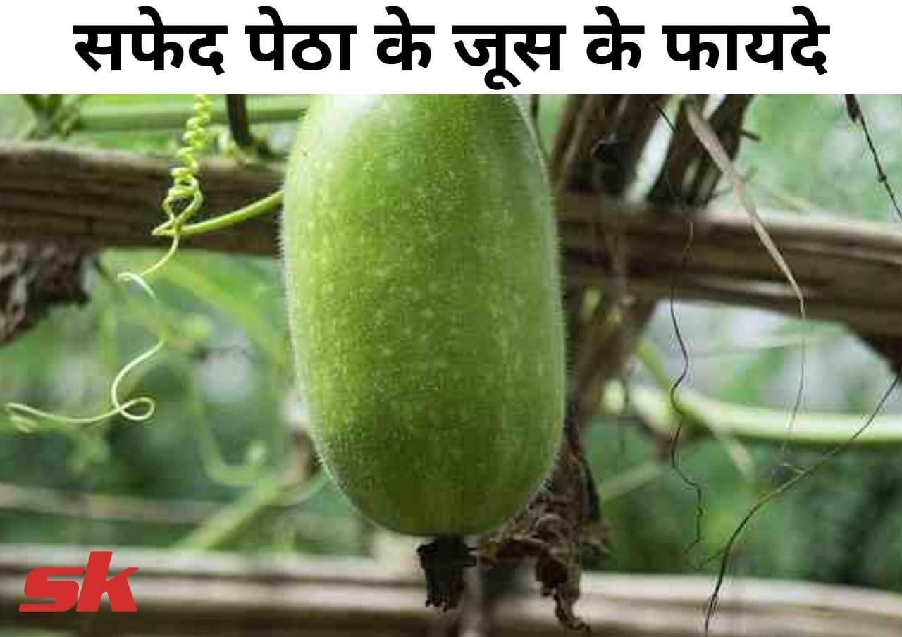 सफेद पेठा के जूस के फायदे Safed Petha Ke Juice Ke Fayde In Hindi