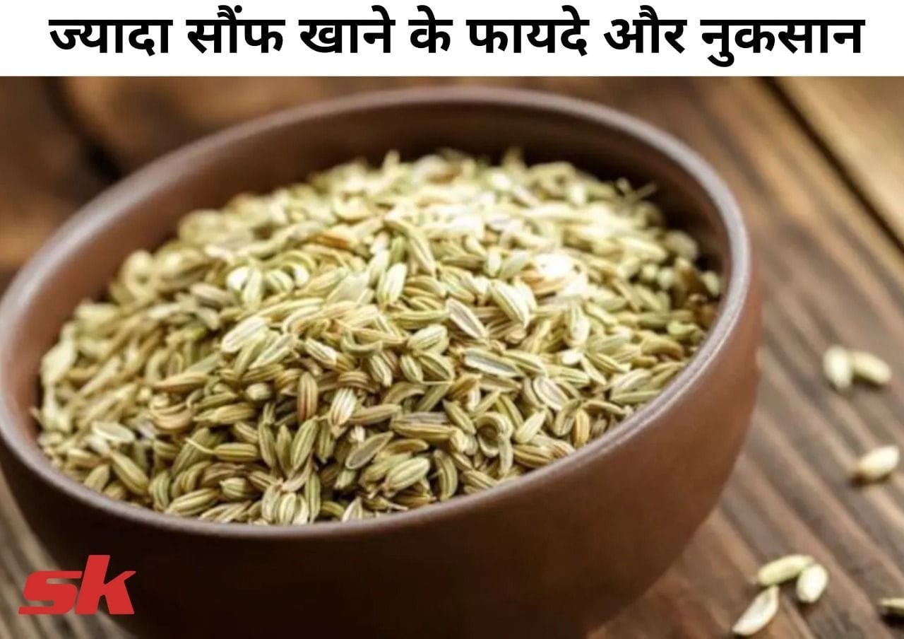 ज्यादा सौंफ खाने के फायदे और नुकसान Zyada Saunf Khane Ke Fayde Aur