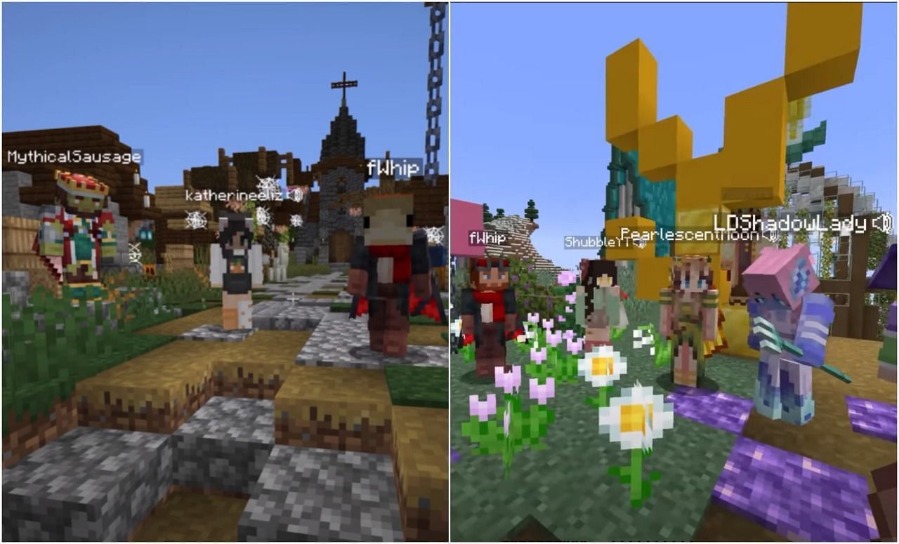 Minecraft Empires SMP members revealed