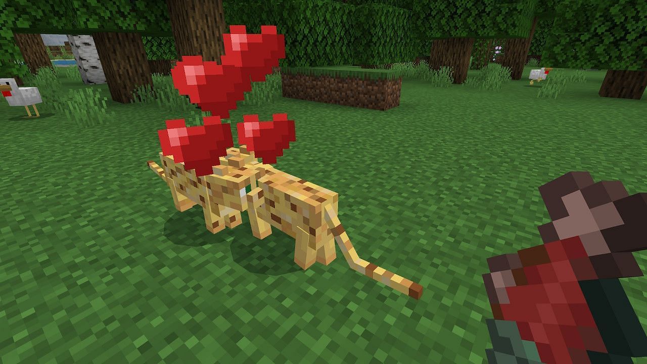 How To Breed Ocelots In Minecraft