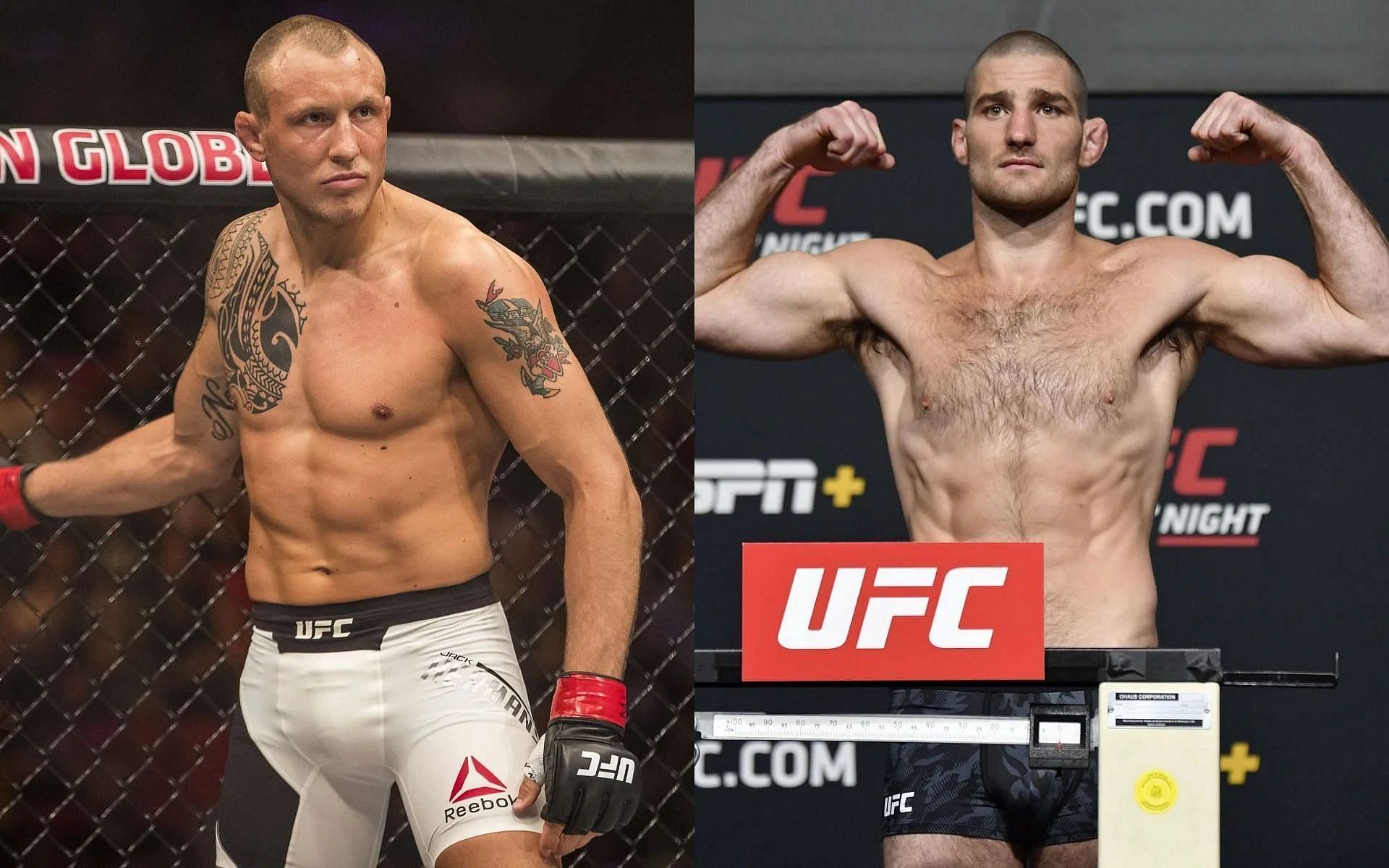 Jack Hermansson vs. Sean Strickland official stats show staggering ...