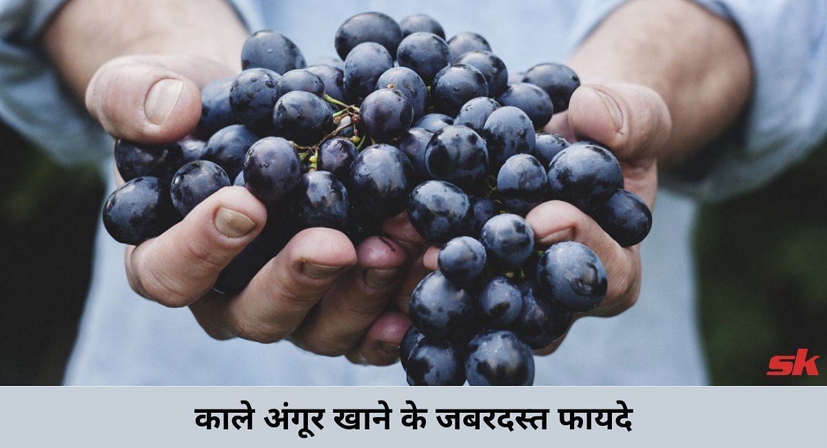 काले अंगूर खाने के जबरदस्त फायदे(फोटो-Sportskeeda hindi)