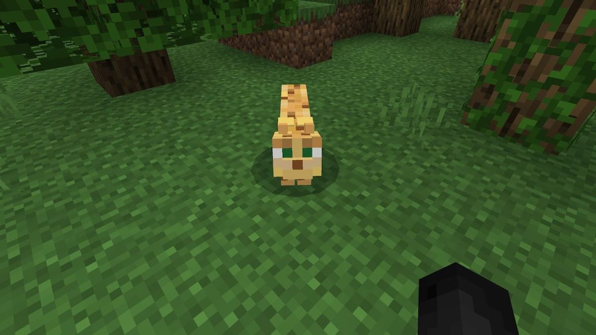 How to breed Ocelots in Minecraft