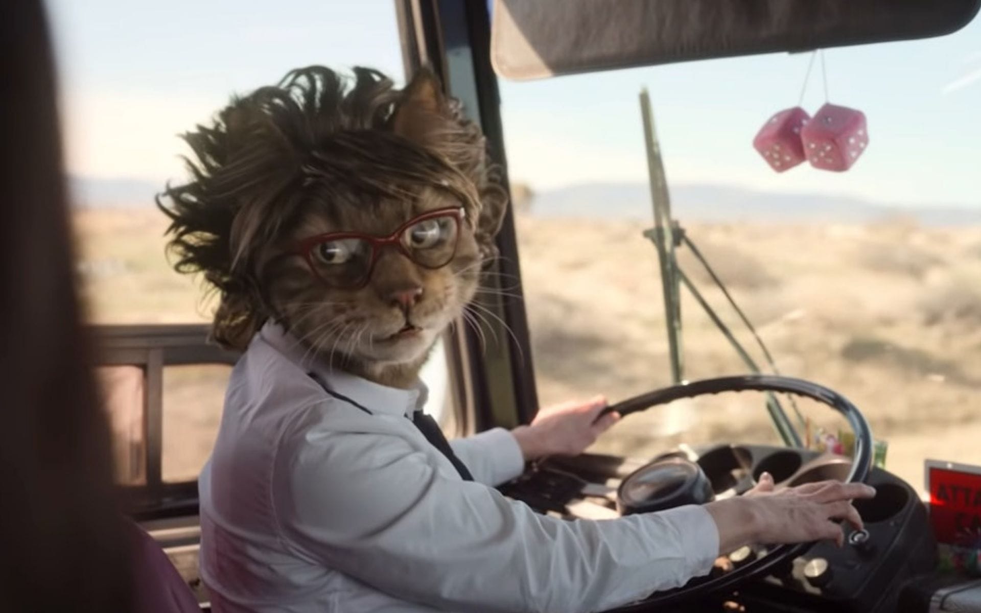 Who is Beth Grant? Meet the face behind Dollface cat lady who guides