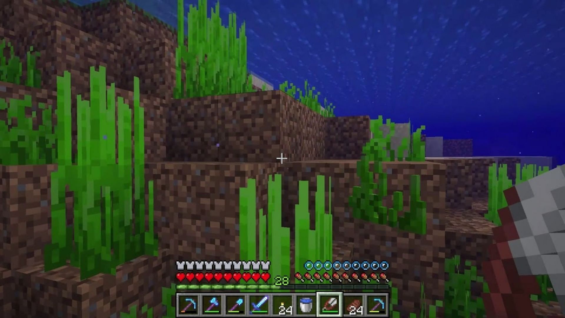 Seagrass in Minecraft All you need to know