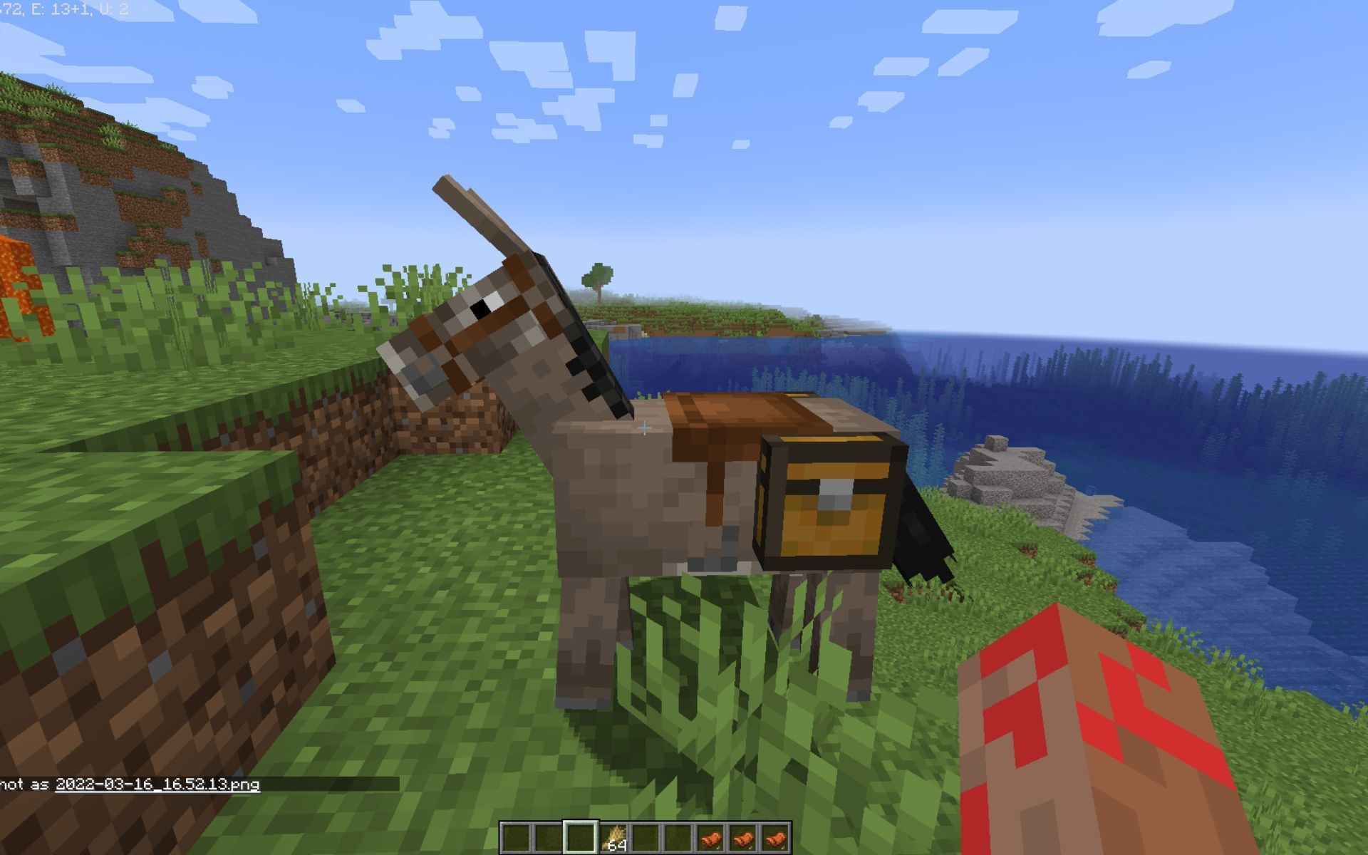 How Do You Put A Chest On A Donkey In Minecraft Xbox One at Harold