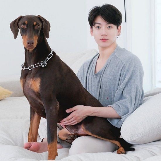 Does Jhope Have A Dog