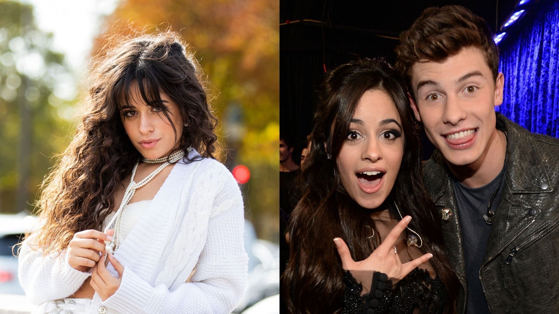 Camila Cabello reflected on her split with Shawn Mendes nearly five months after their break-up (Image via Christian Vierig/Getty Images and Kevin Mazur/WireImage)