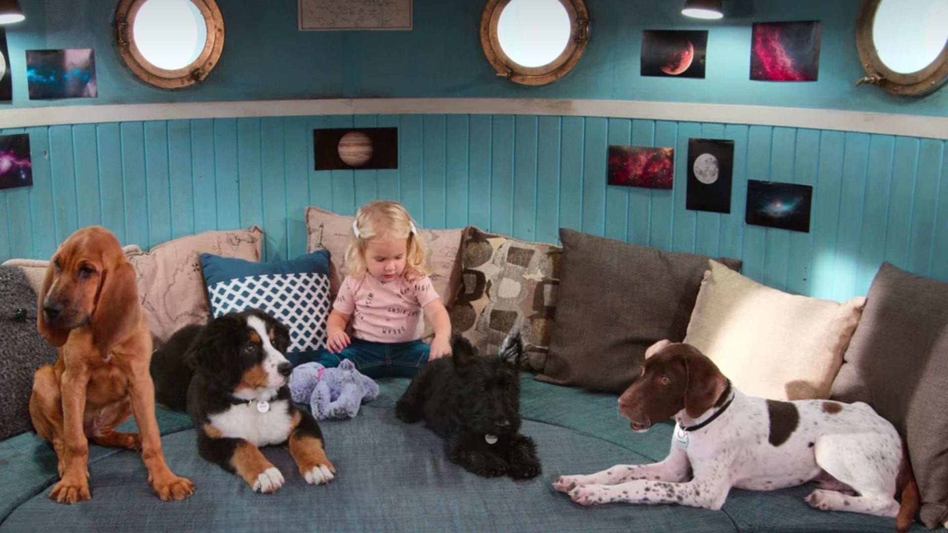 Super PupZ Season 2 Will there be a sequel