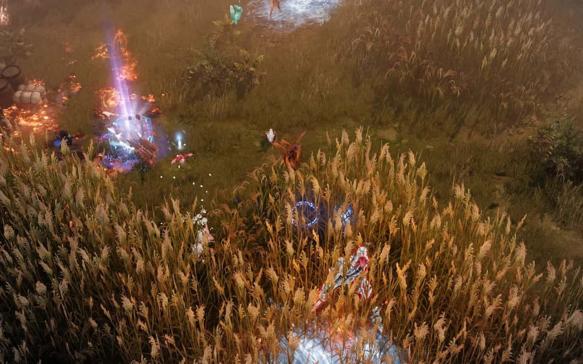 How to get the Lush Reed Island Token in Lost Ark