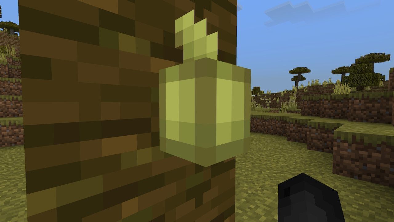 Cocoa Beans in Minecraft Everything you need to know