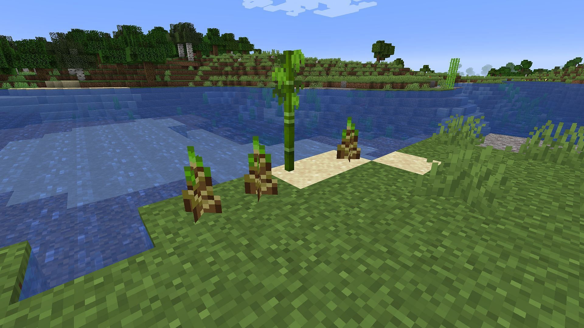 Bamboo shoots (Image via Minecraft)