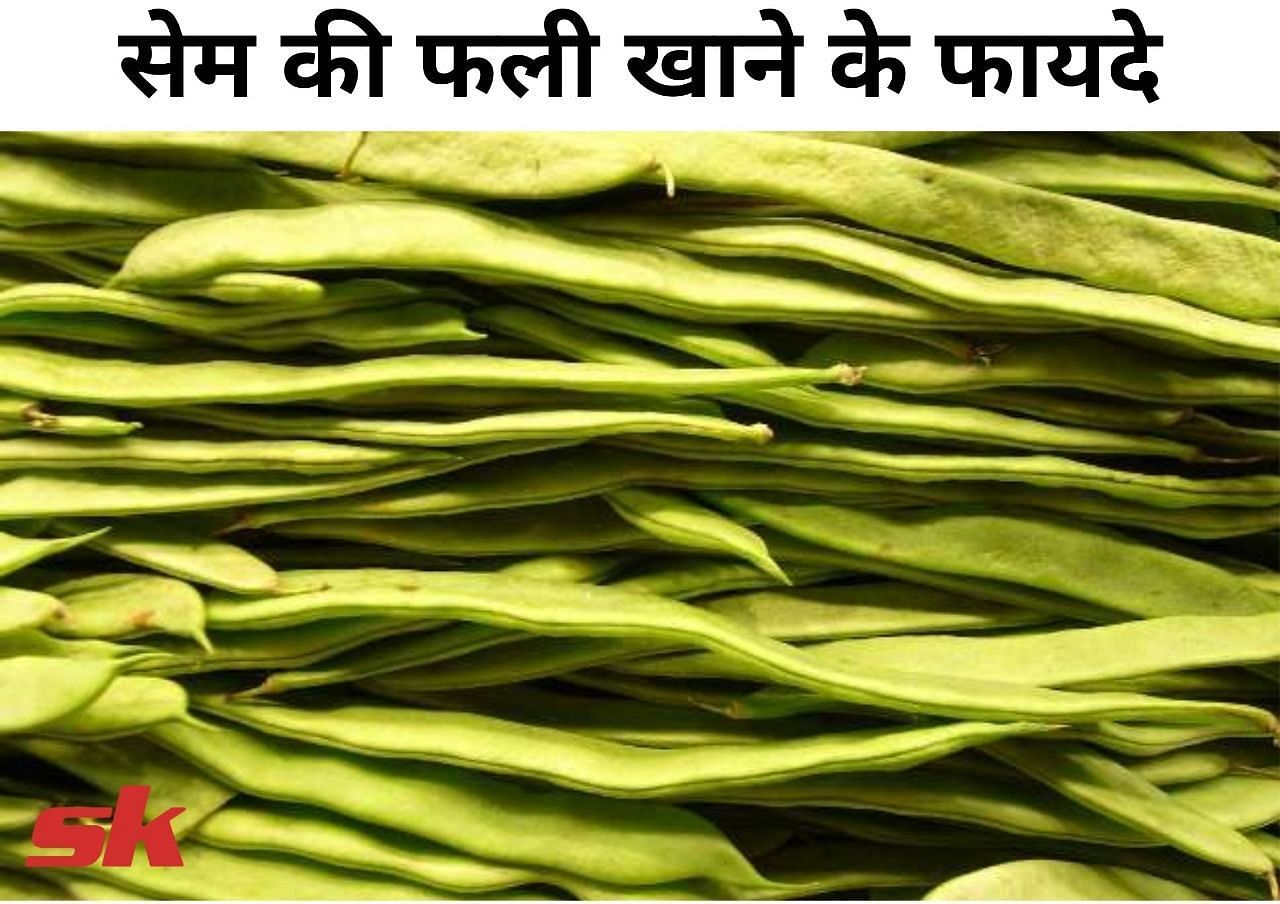 सेम की फली खाने के फायदे (फोटो - sportskeeda hindi)