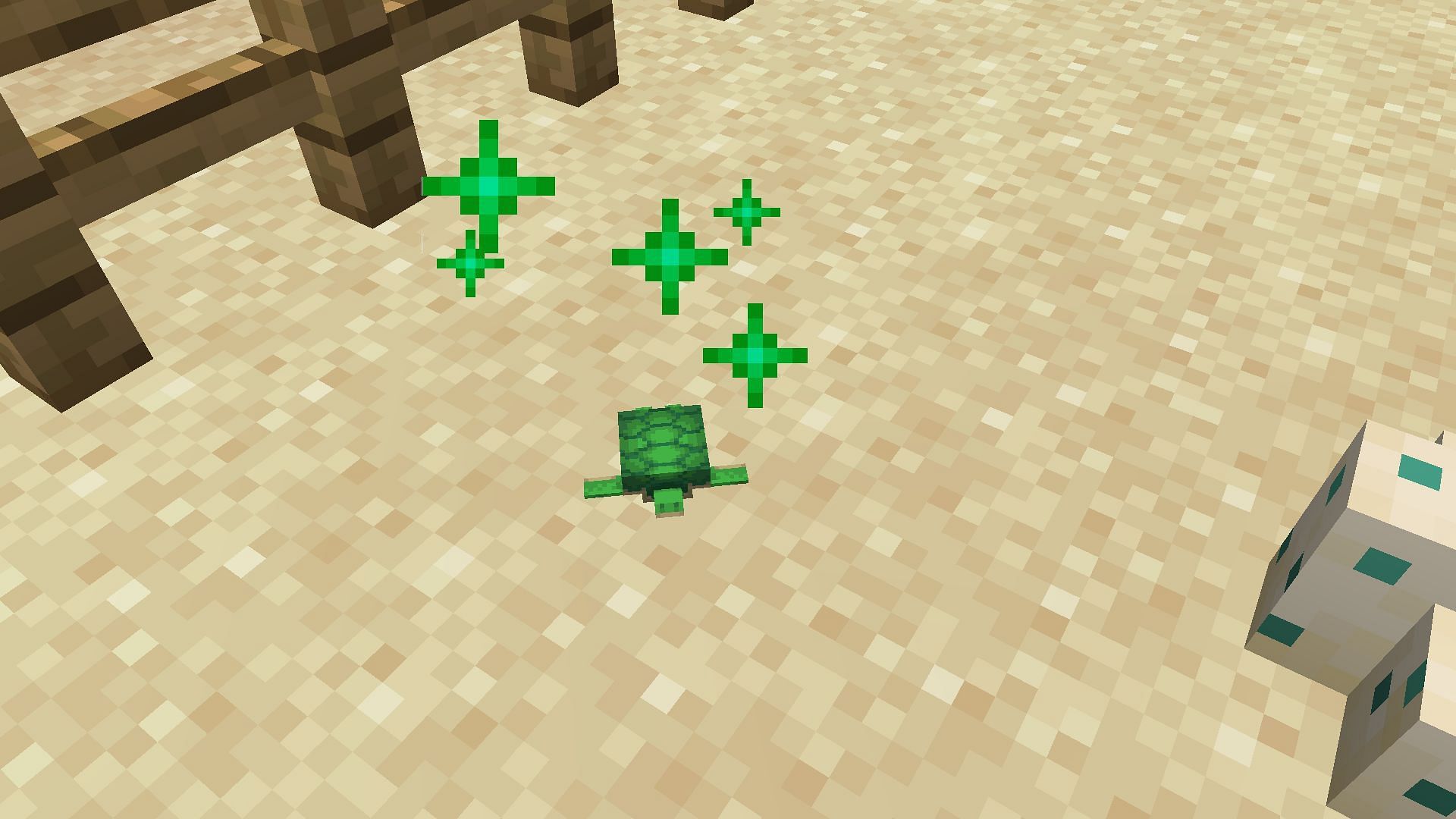 Grow them by feeding them seagrass (Image via Minecraft 1.18)