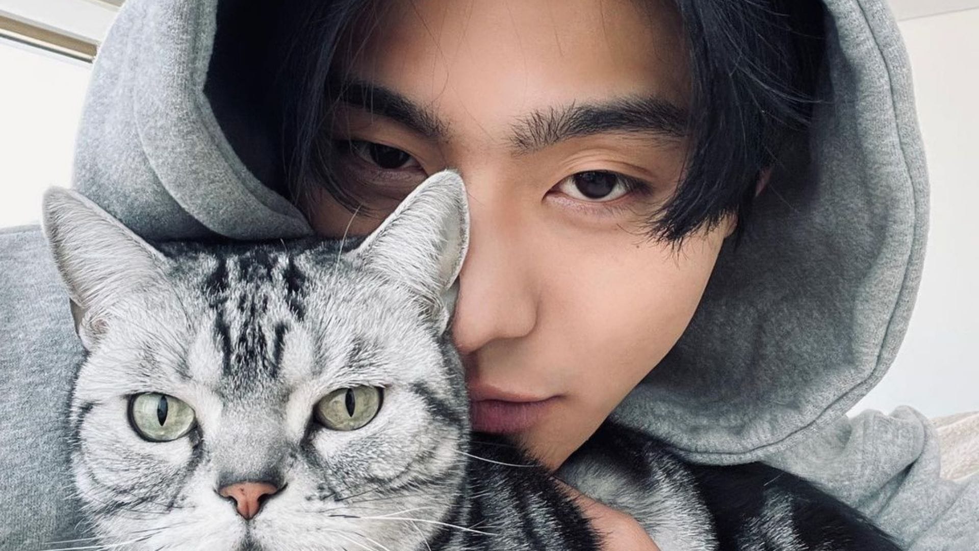 &ldquo;He is so hot&rdquo;: Fans gush over &lsquo;A Business Proposal&rsquo; star Ahn Hyo-seop