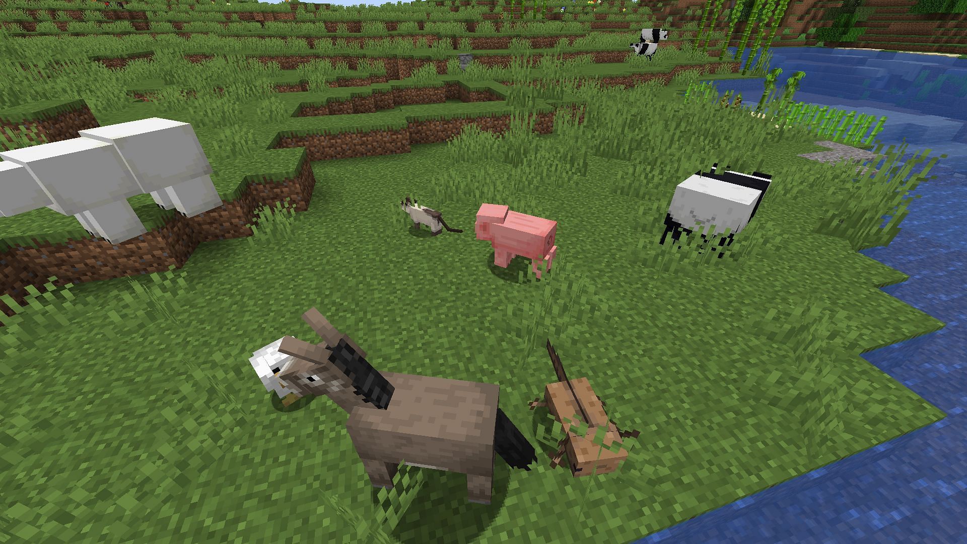 How To Color Animals In Minecraft