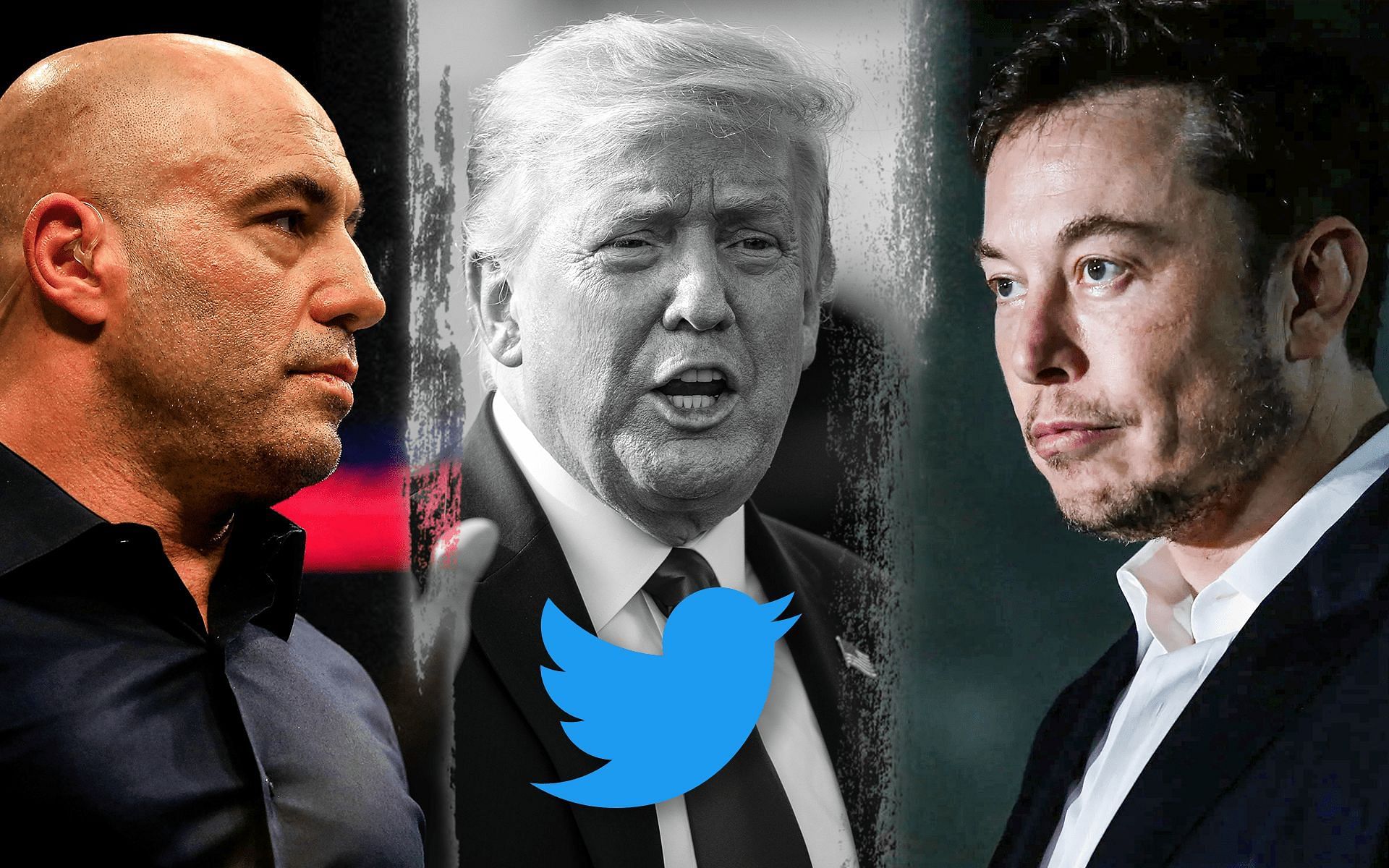 Joe Rogan reacts to Elon Musk buying Twitter