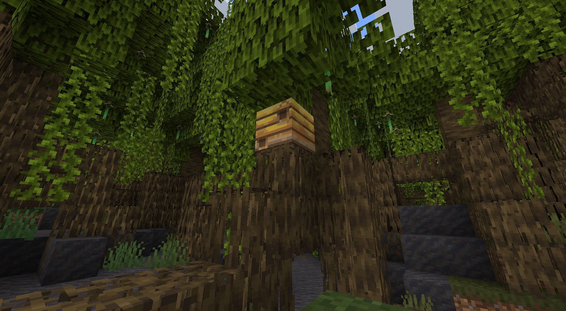 new-mangrove-swamp-biome-in-minecraft-snapshot-22w14a-everything