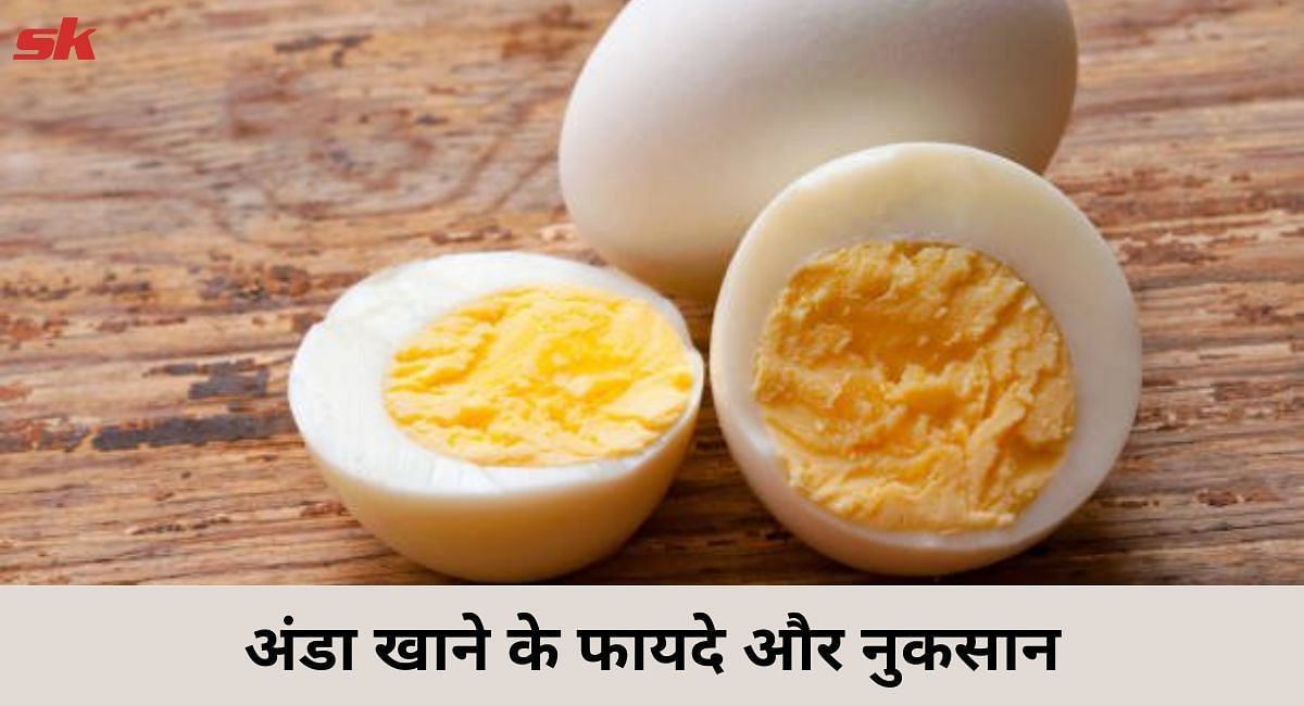 अंडा खाने के फायदे और नुकसान(फोटो-Sportskeeda hindi)