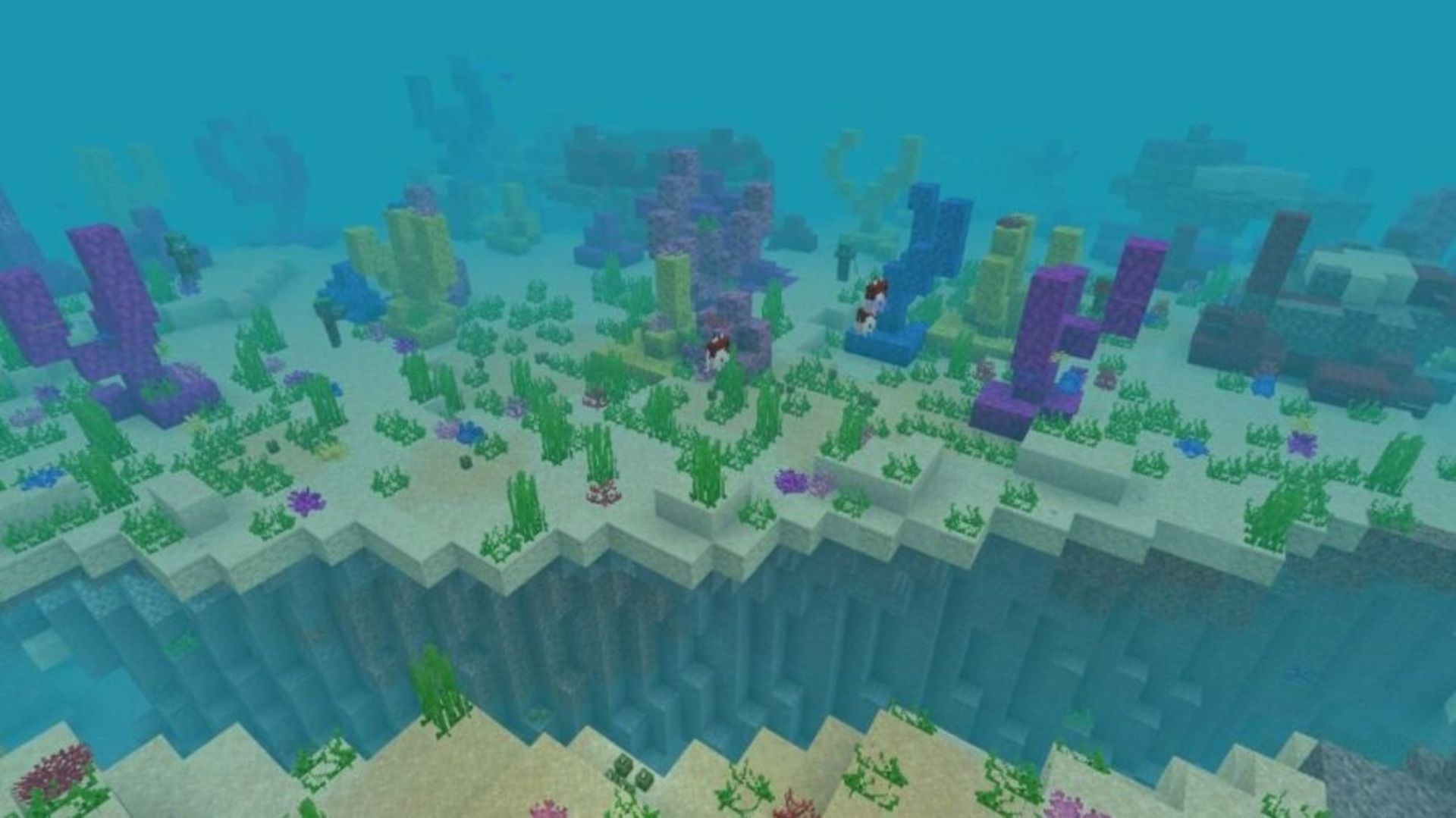 5 best seeds for coral reefs in Minecraft Pocket Edition