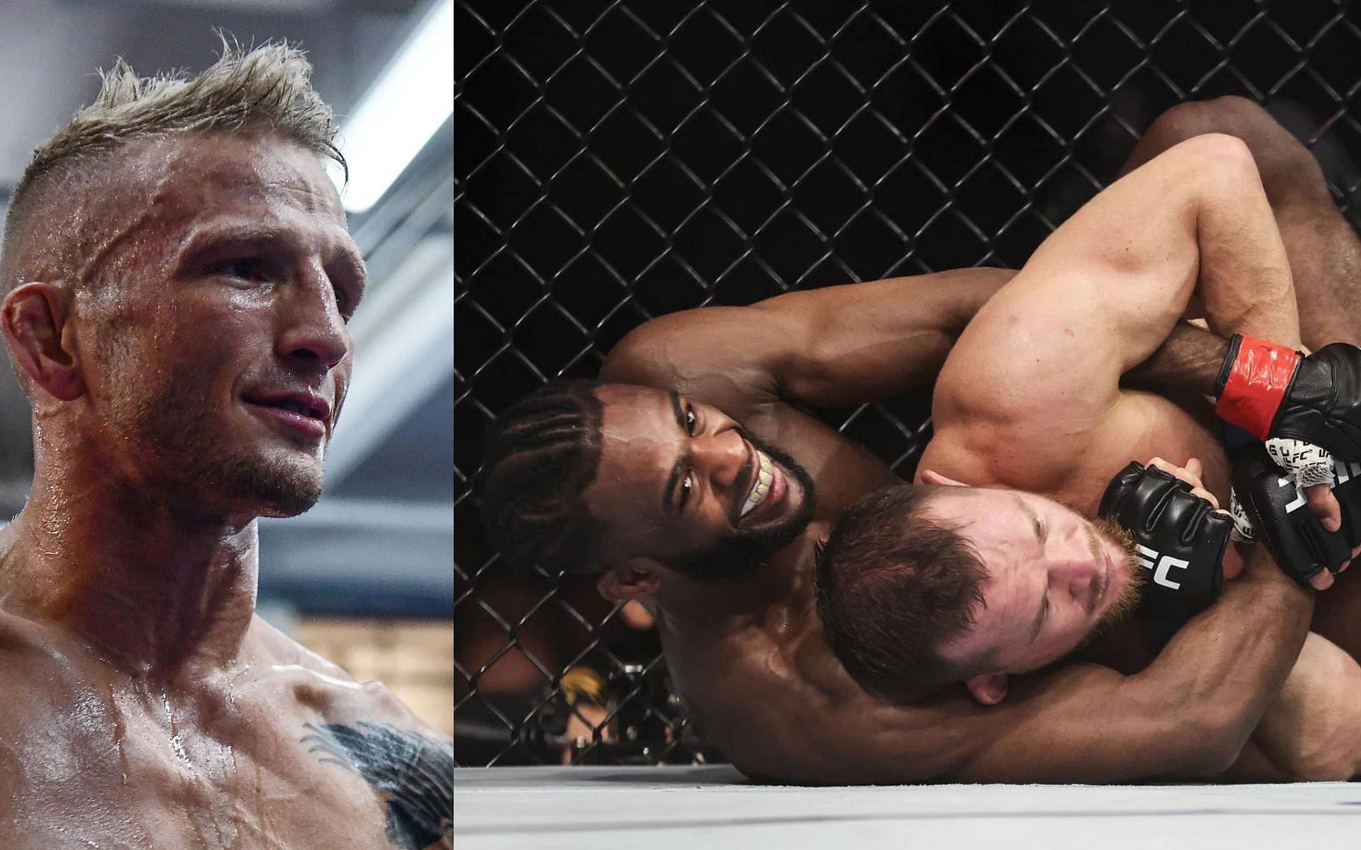 t-j-dillashaw-on-petr-yan-vs-aljamain-sterling-2