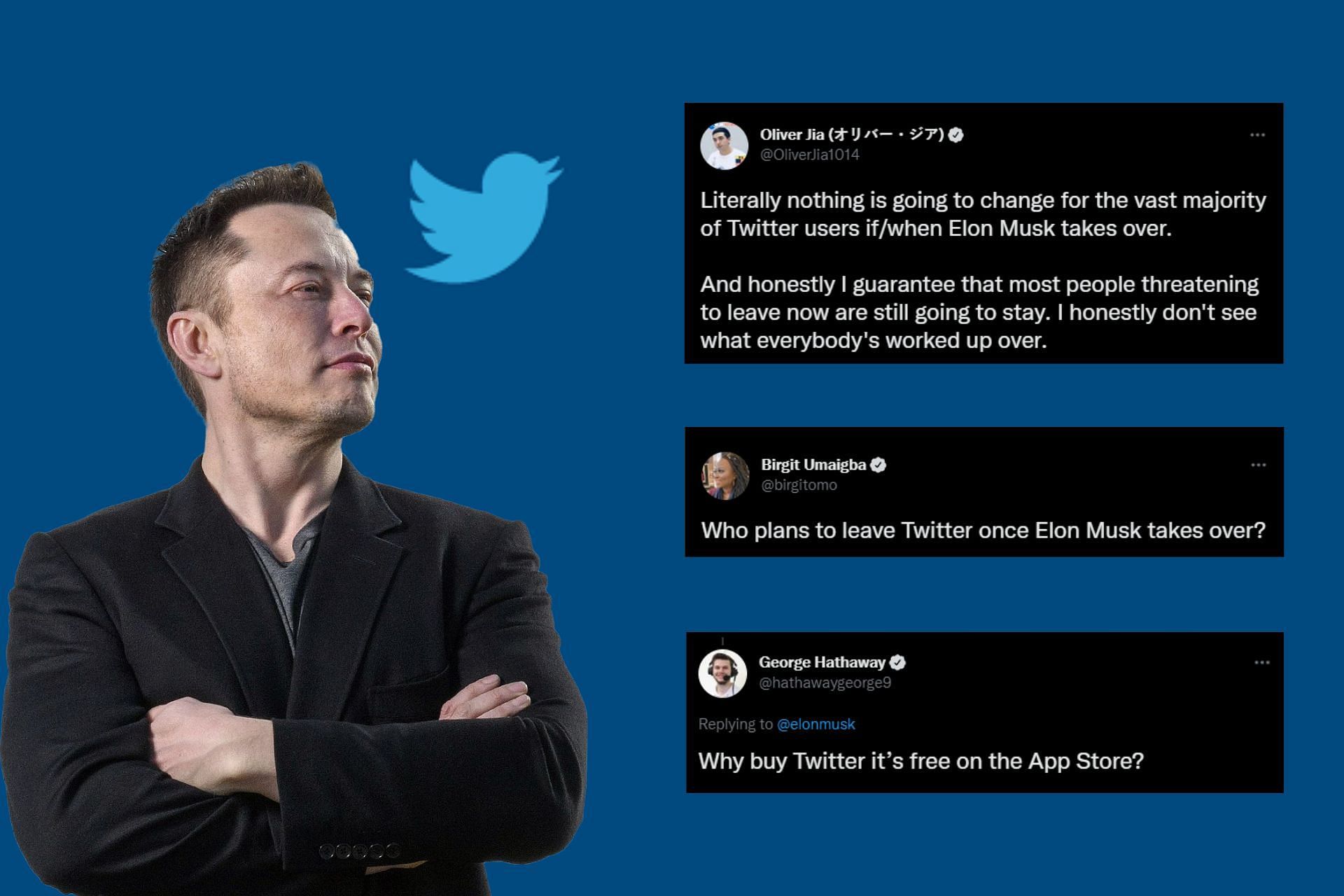 Elon Musk splits Twitter users as he offers to buy the entire company