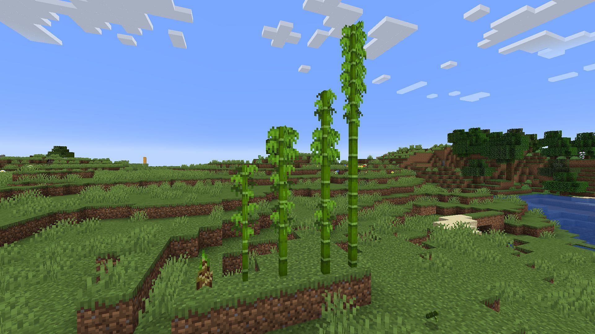 Examples of different bamboo growth stages (Image via Minecraft)