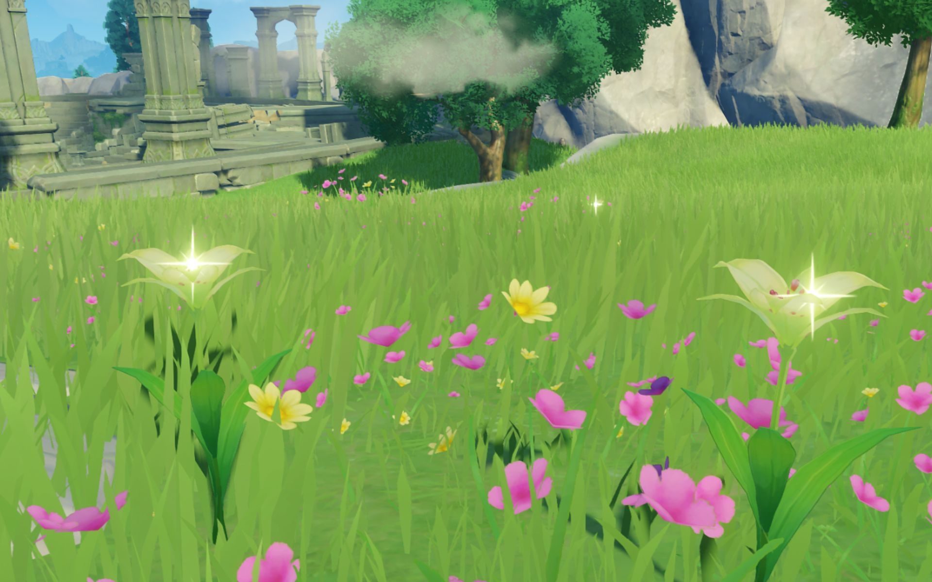 All Cecilia locations in Genshin Impact (and other Mondstadt regional