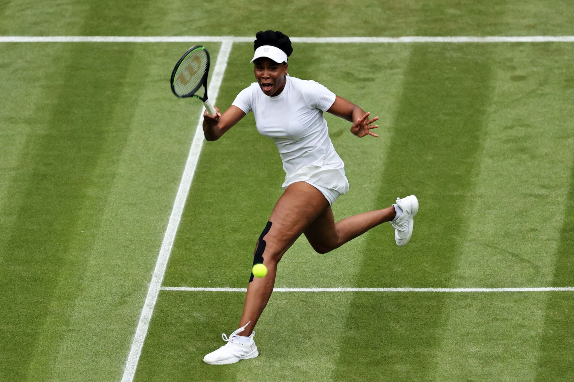 How many languages does Venus Williams speak?