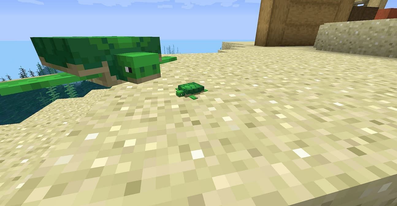 Baby turtles are the smallest mob in Minecraft (Image via Minecraft)