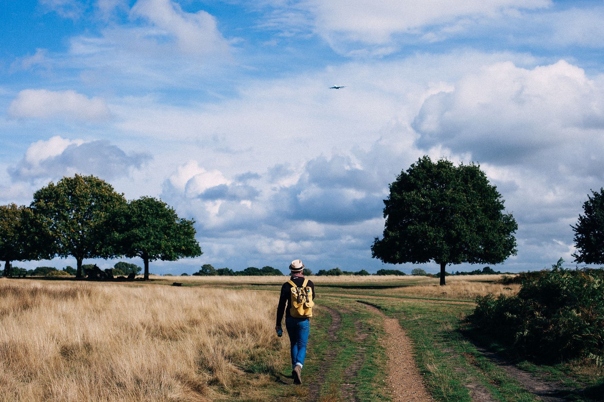 Understanding the benefits of walking (Image via Pexels/Photo by Clem Onojeghuo)