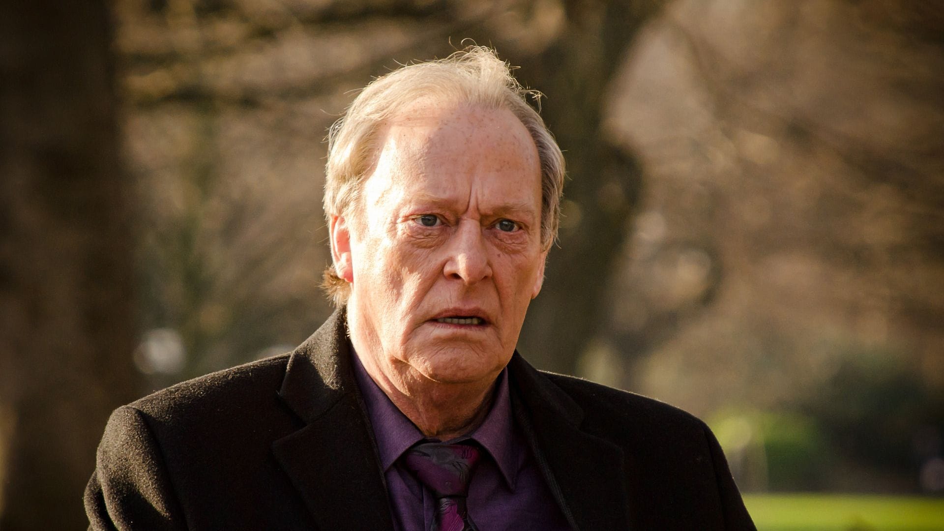 What did Dennis Waterman die of? Exploring late Minder star's legacy as