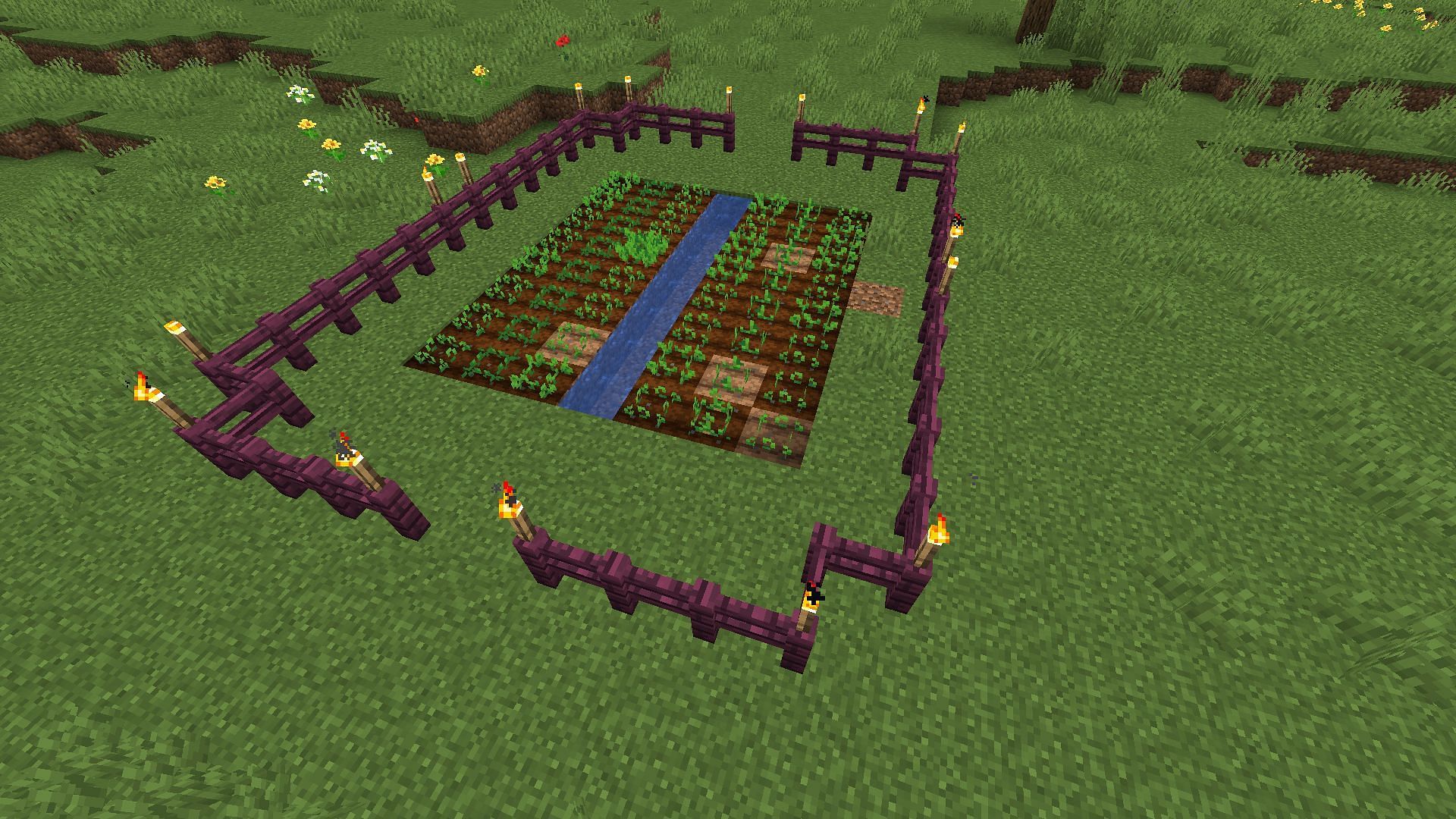 A farm in Minecraft for all the pig crops: beetroot, carrots, and potatoes (Image via Minecraft)