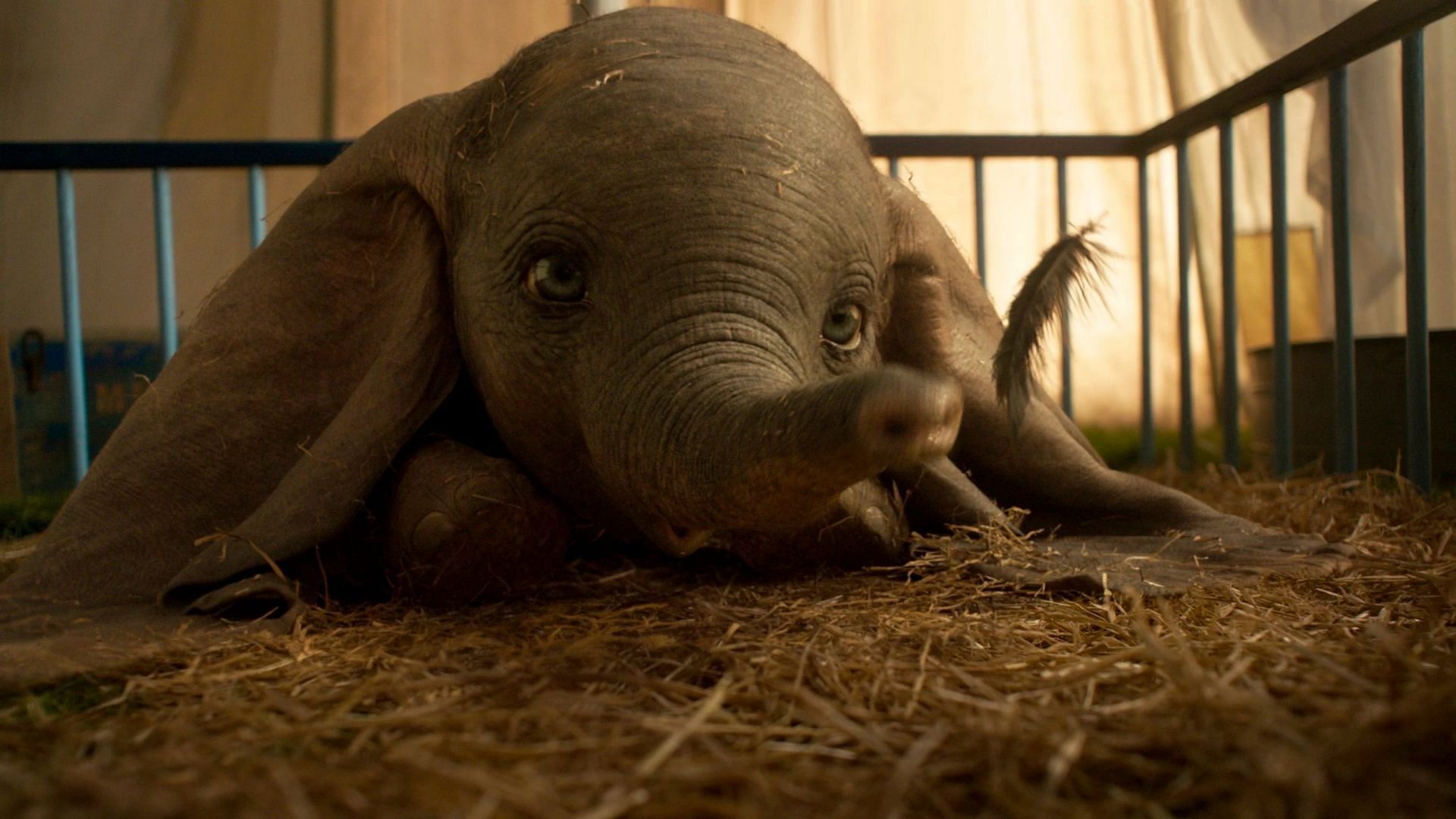 Why the critics were wrong about 'Dumbo' (2019)