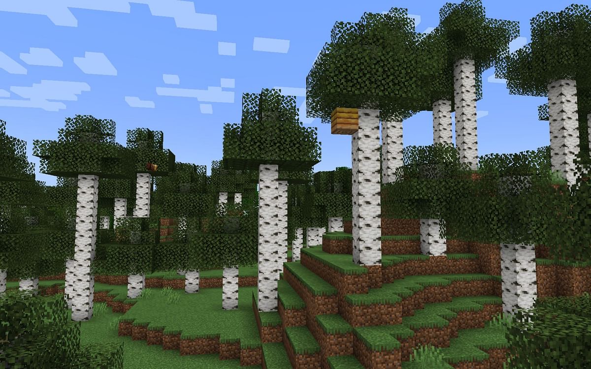 What changes might come to birch forest in Minecraft 1.19 The Wild Update?