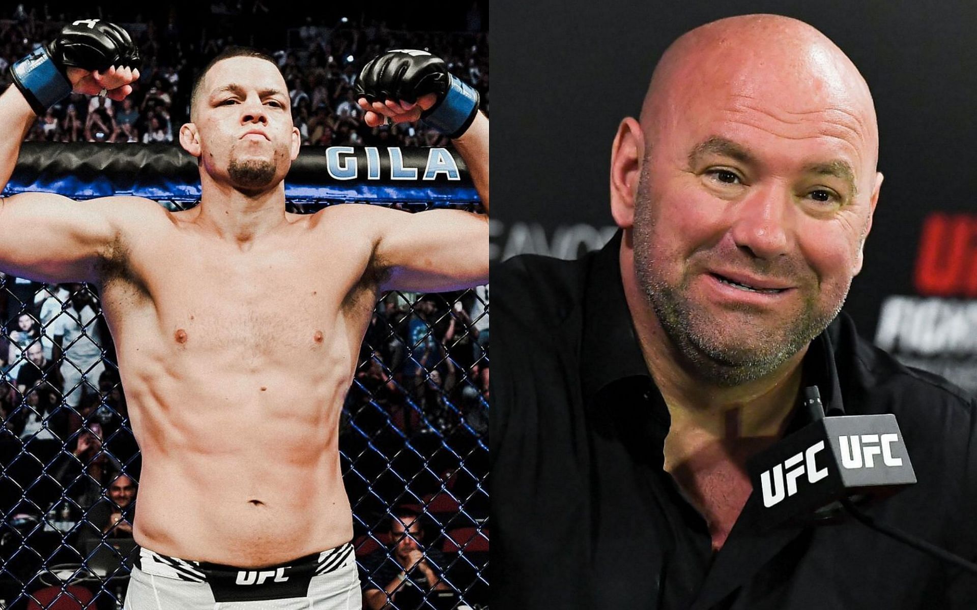 Ex Ufc Fighter Backs Nate Diaz Claims Dana White Tries To Stop People From Making Money 0192