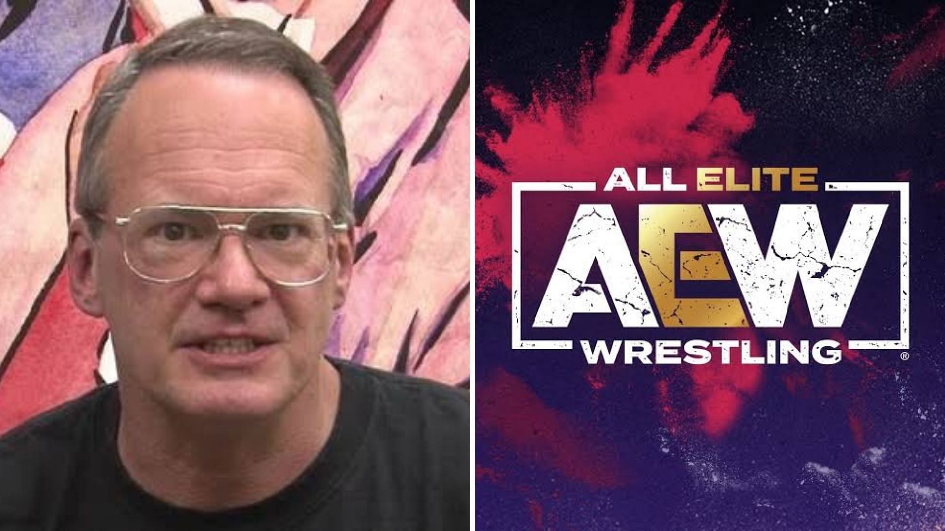 The wrestling veteran is a vocal critic of All Elite Wrestling.