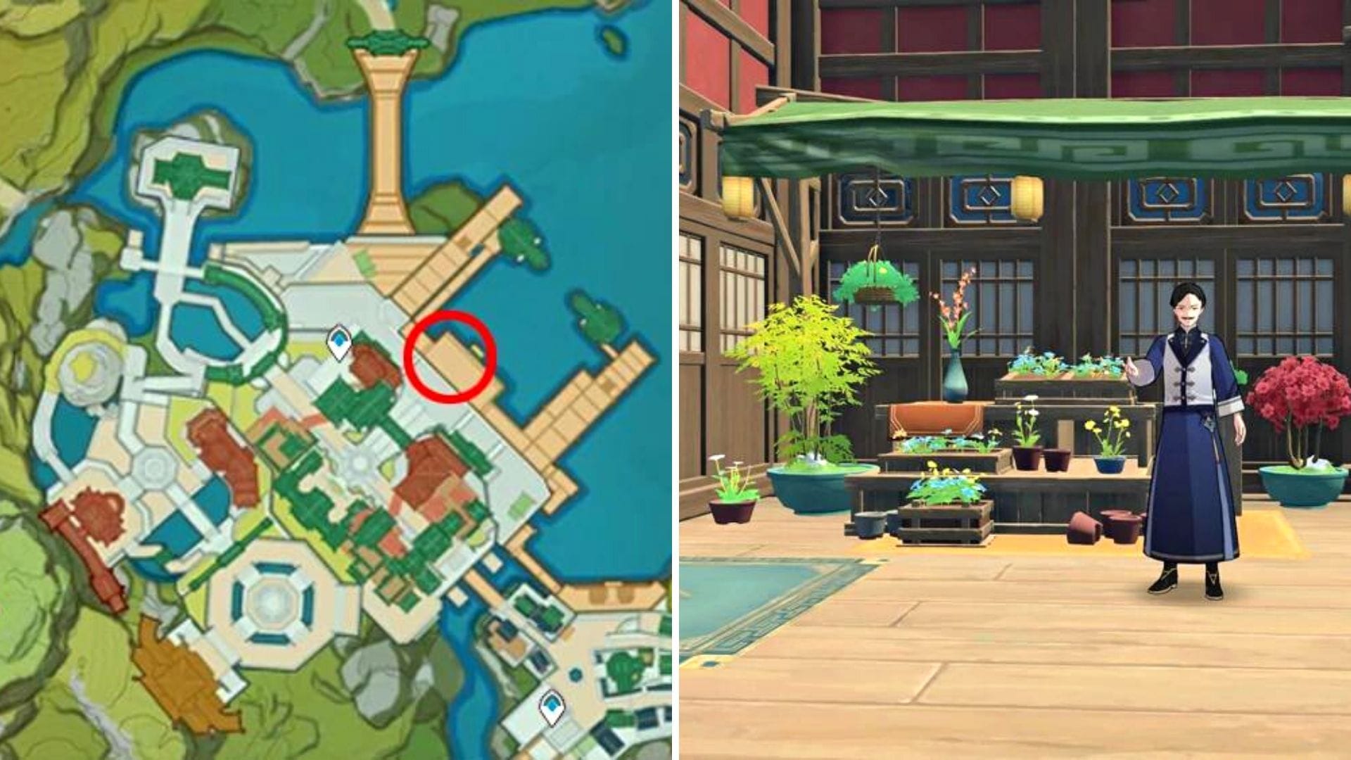 Genshin Impact Apple locations Where to find and farming spots