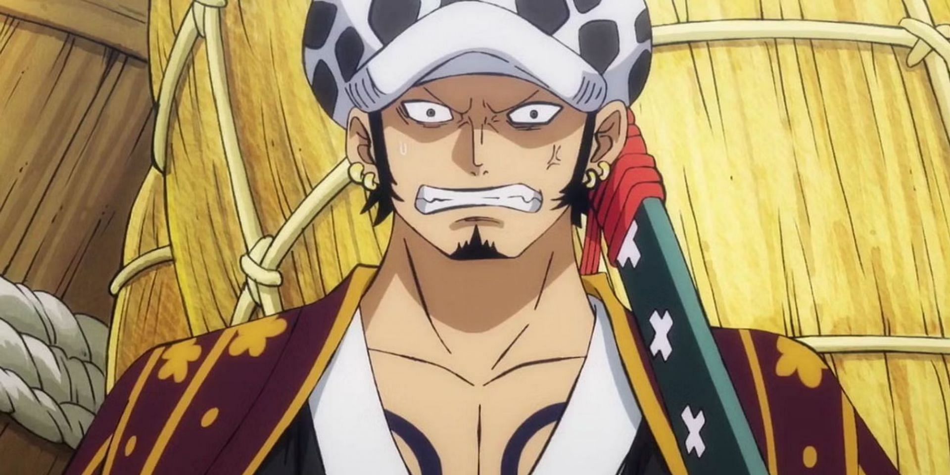 Which One Piece Character Are You Based On Your Chinese Zodiac Animal