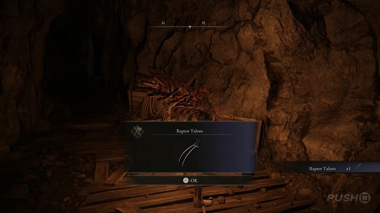 Here is where players will grab the Raptor Talons (Image via FromSoftware Inc.)