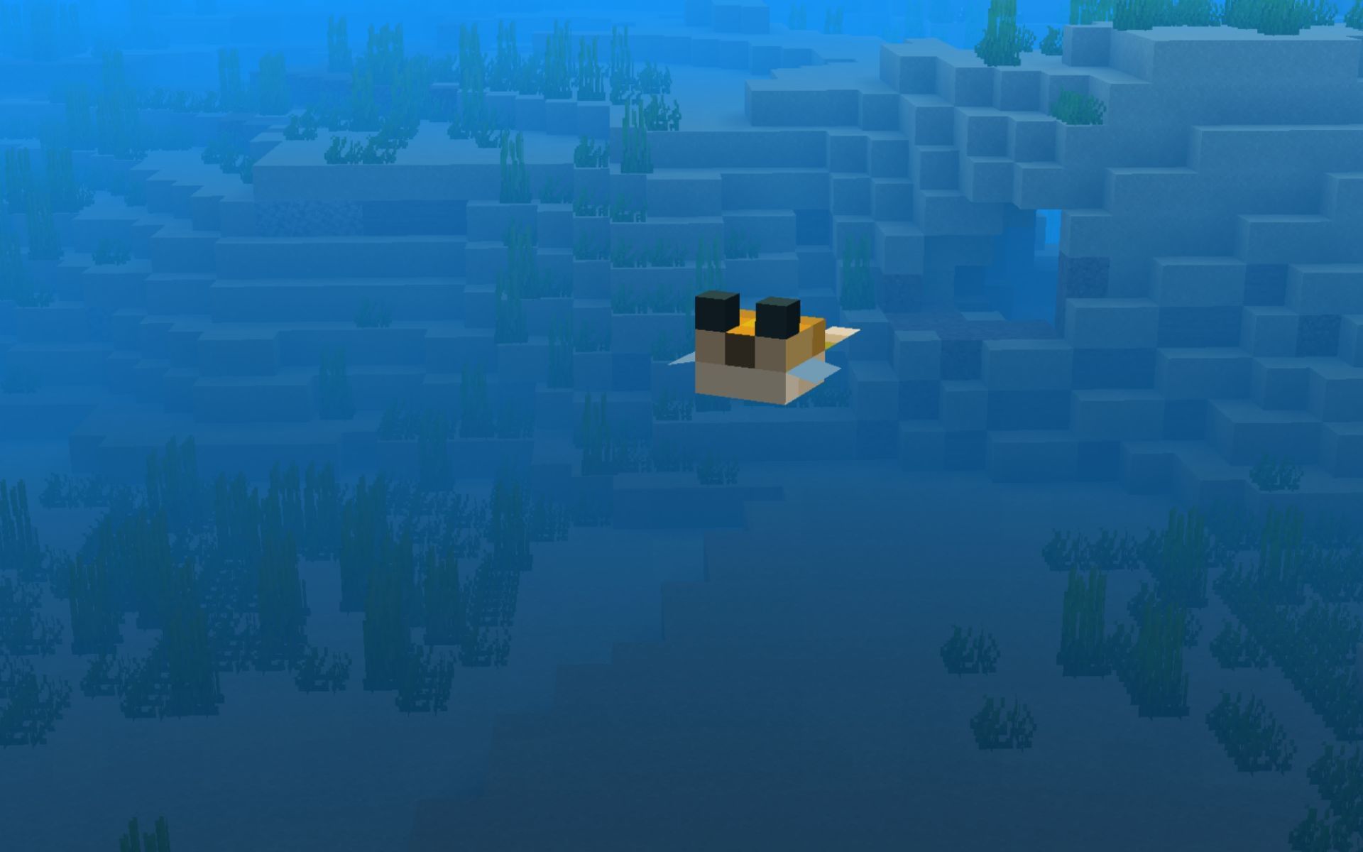 How rare are Pufferfish in Minecraft?
