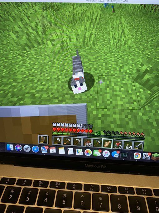 How to make a leash in Minecraft