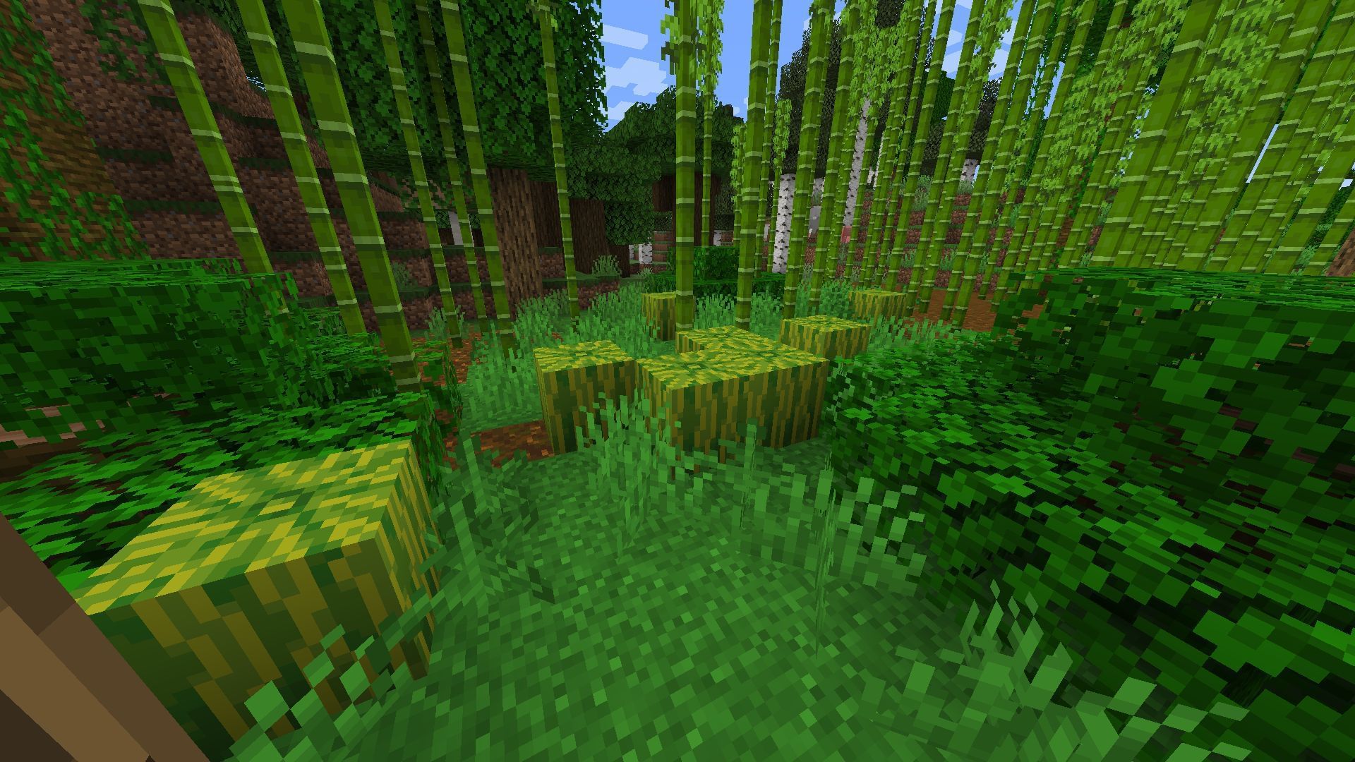 Where to find melons in Minecraft 1.18?