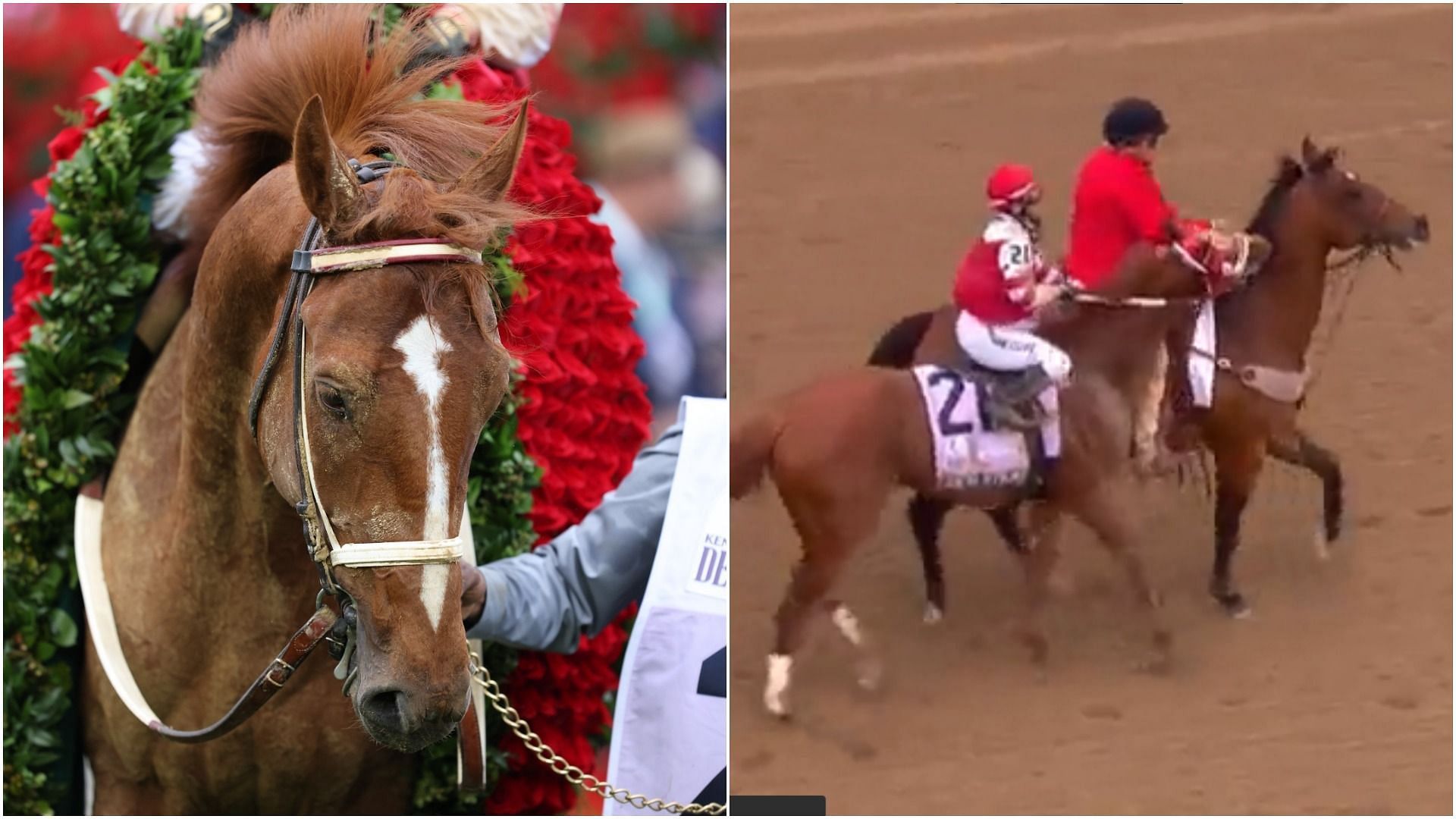 Viral video Kentucky Derby 2022 winner Rich Strike bites horse